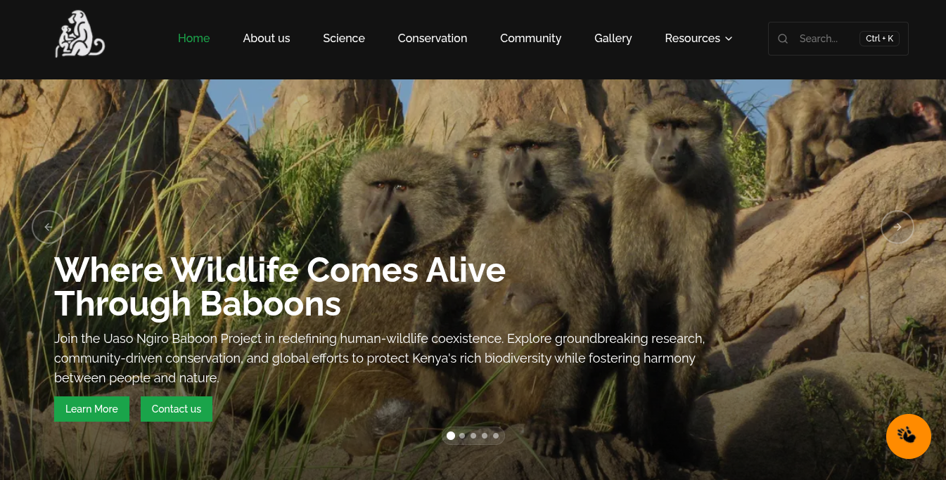 BaboonsRus project screenshot